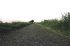 buckelstrasse-pict.JPG (1229 Byte)